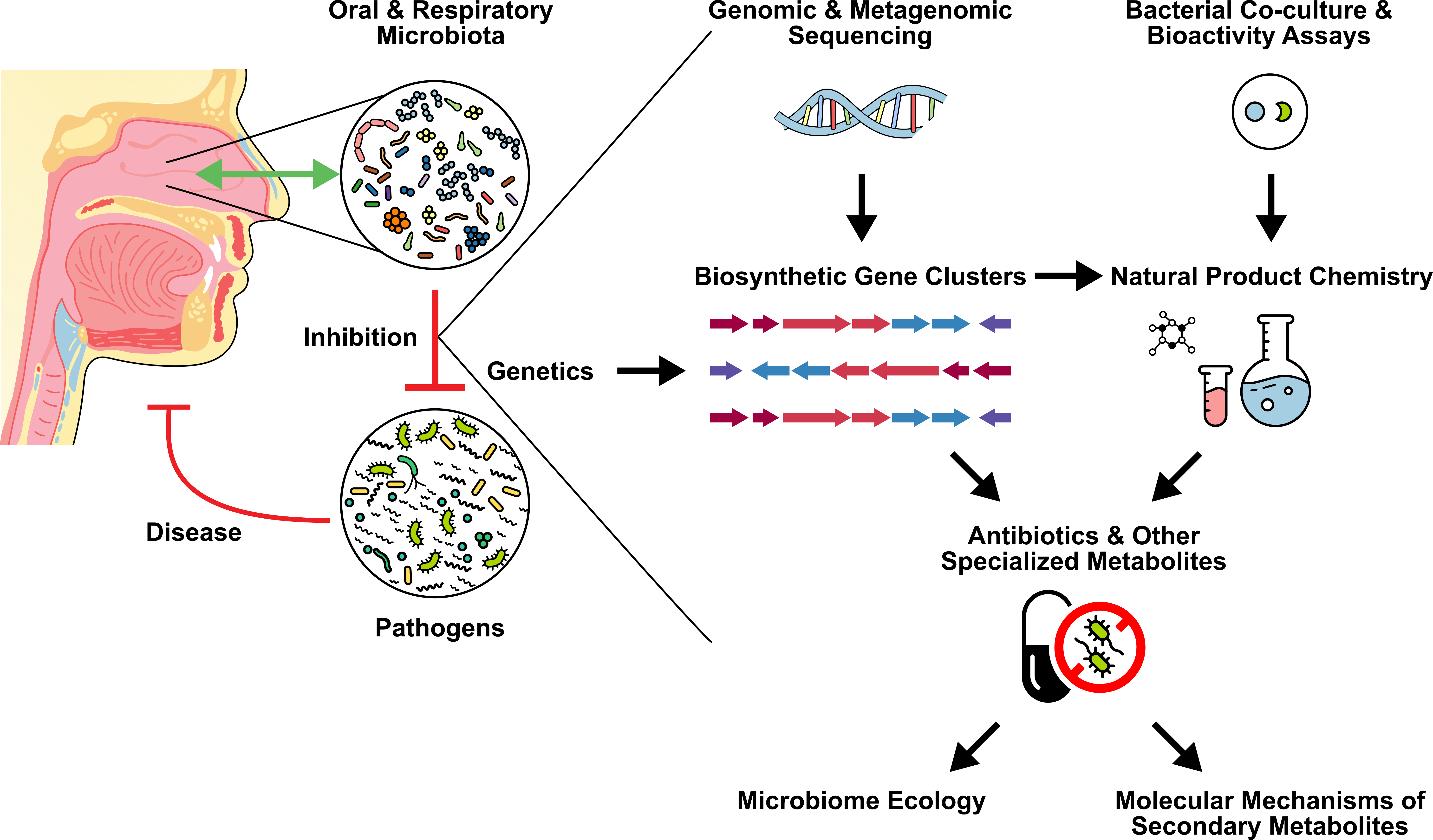 The Stubbendieck Lab