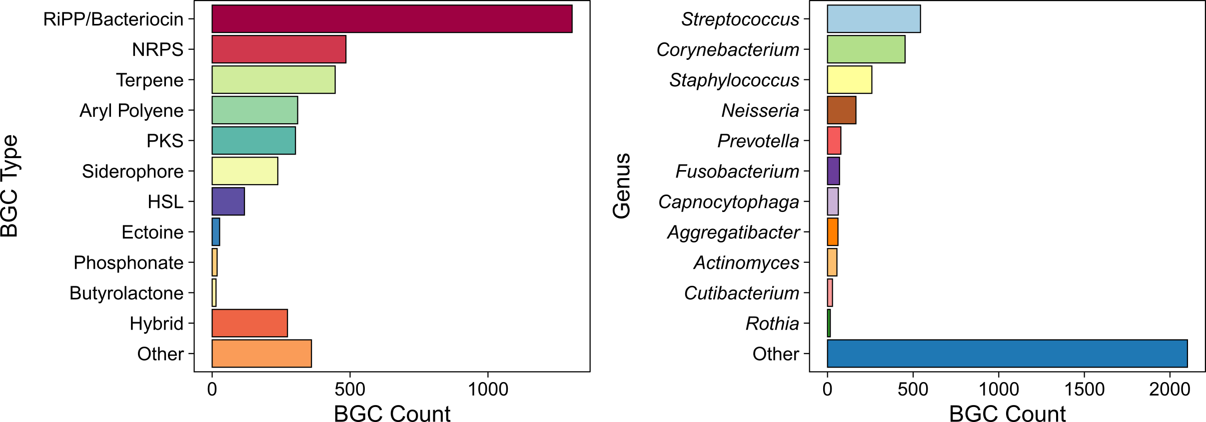 Graphs showing counts of different kinds of BGCs identified from aerodigestive tract bacteria and the types of bacteria that encode them