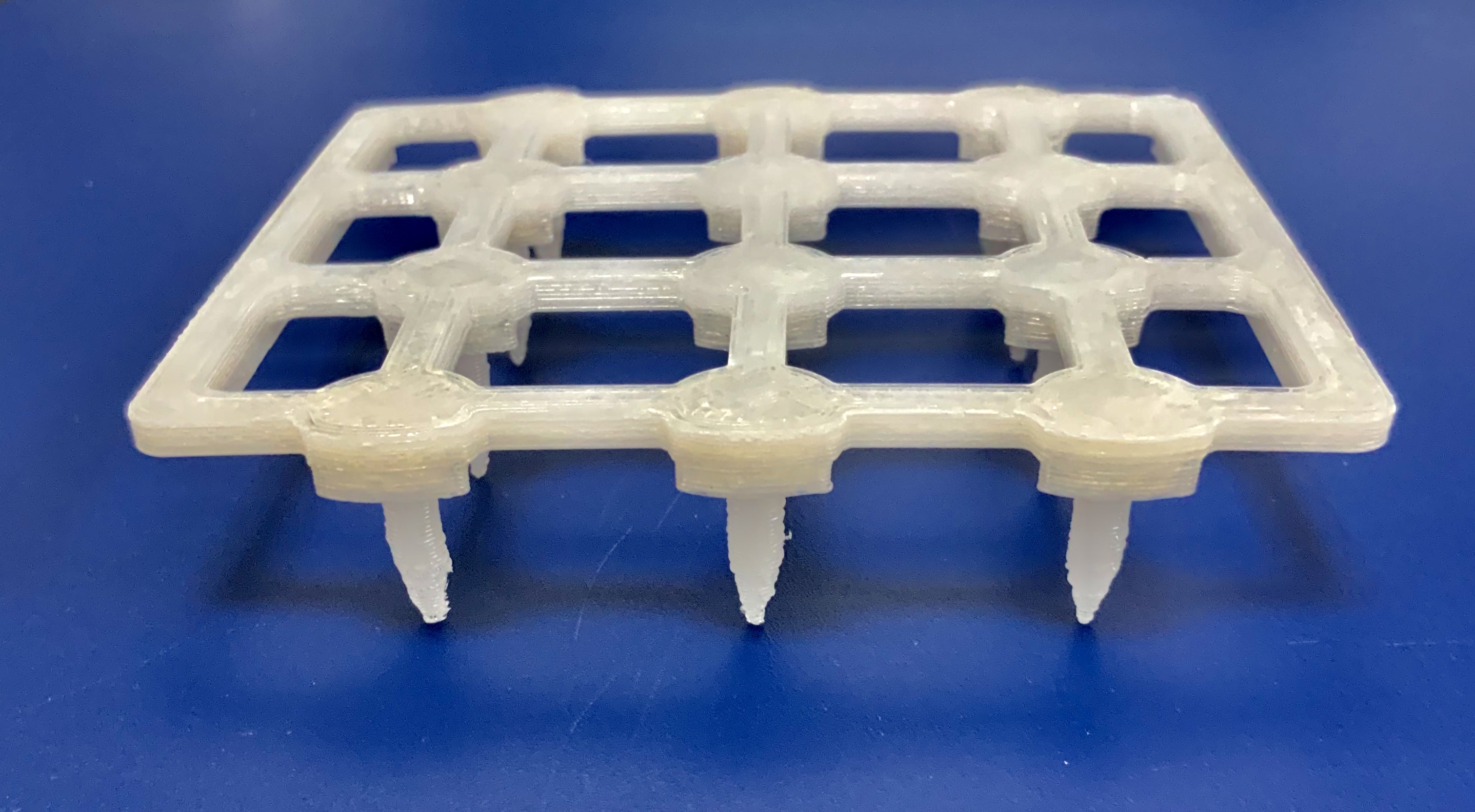 This is a photograph a 3D printed stamp for rapid inoculation of 12-well plates with microbial pathogens.